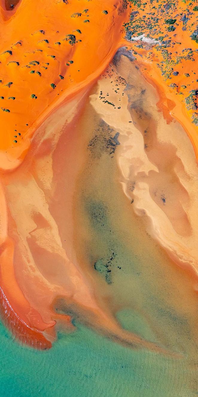 desert and sea