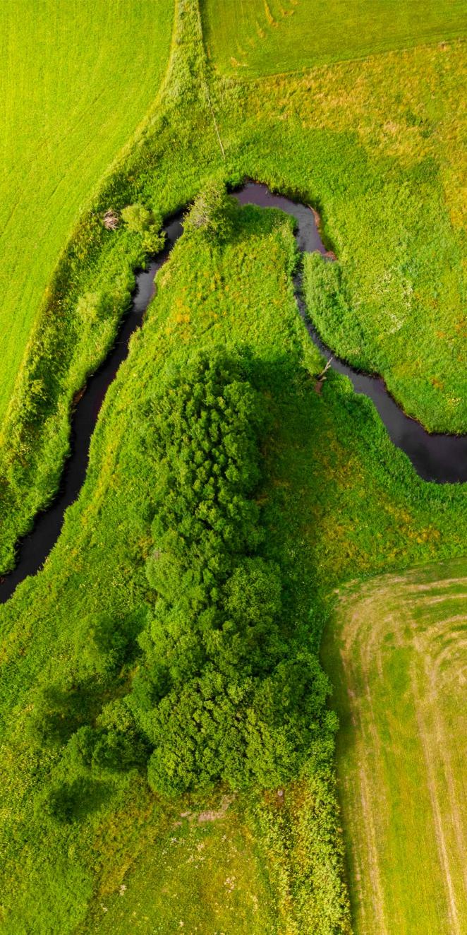 green field and forest